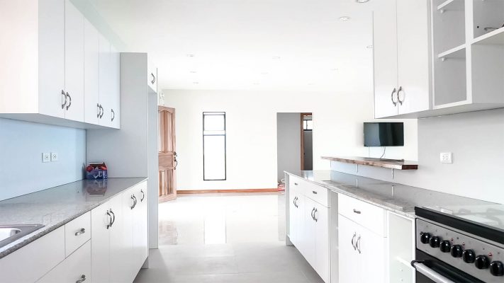 randal and paula kitchen cabinets